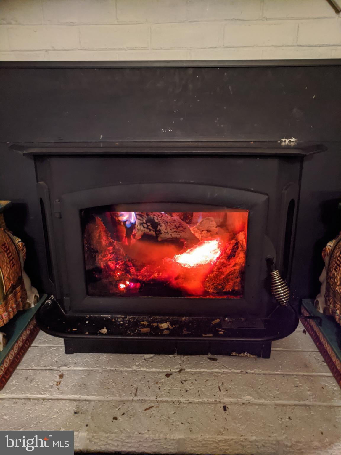 5582 Quiet Brook Road Fairfax, VA 22030 - Photo 18 of 31 Buck Stove insert for warmth on cold winter nights