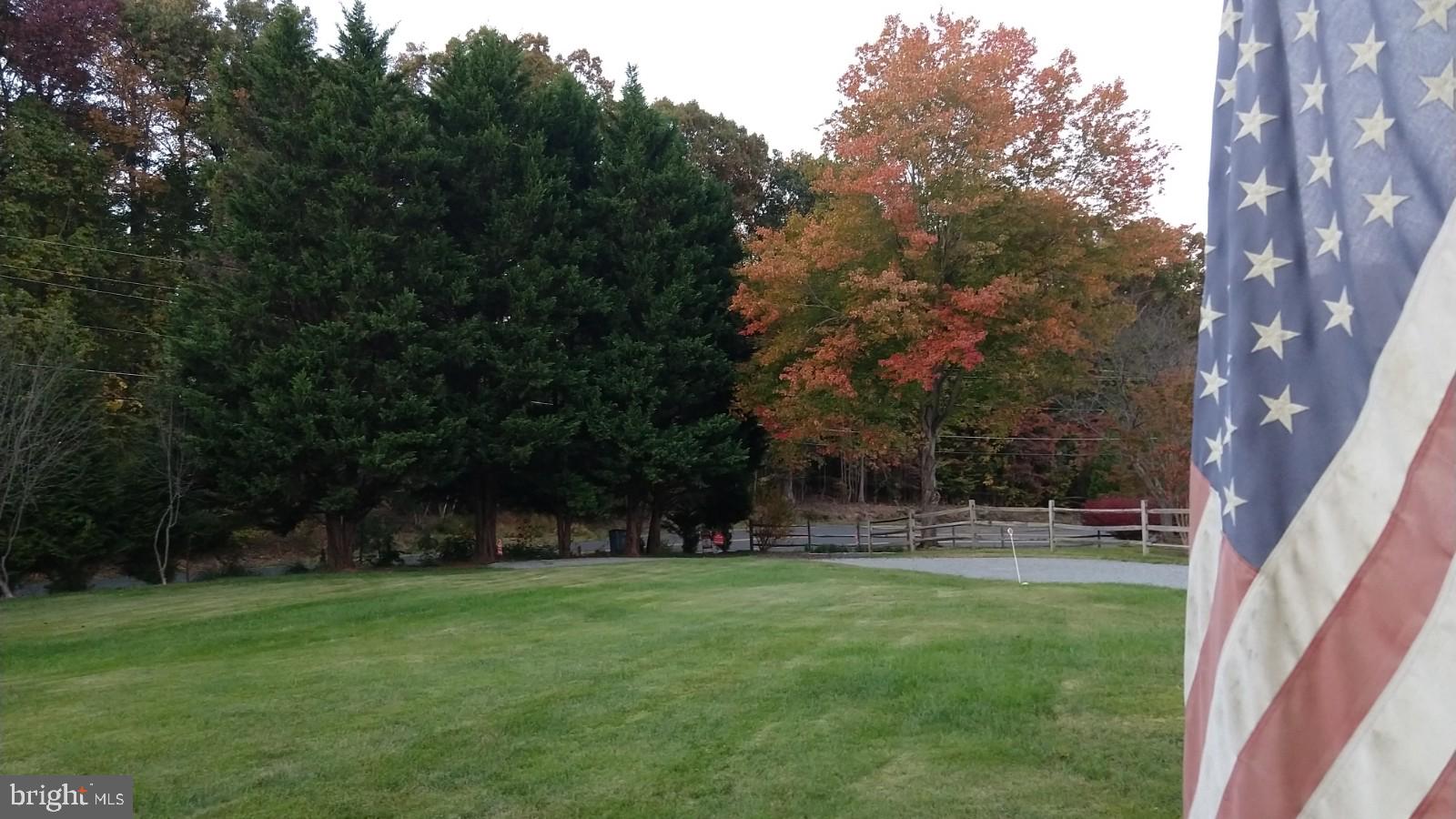 5582 Quiet Brook Road Fairfax, VA 22030 - Photo 5 of 31 From the front porch, a scenic view of the yard.