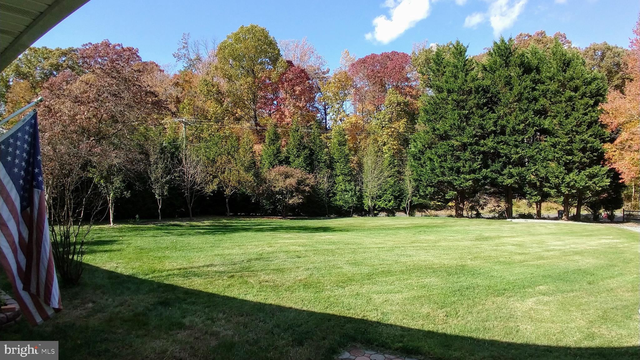 5582 Quiet Brook Road Fairfax, VA 22030 - Photo 6 of 31 Fruit trees lining the front yard during the fall.