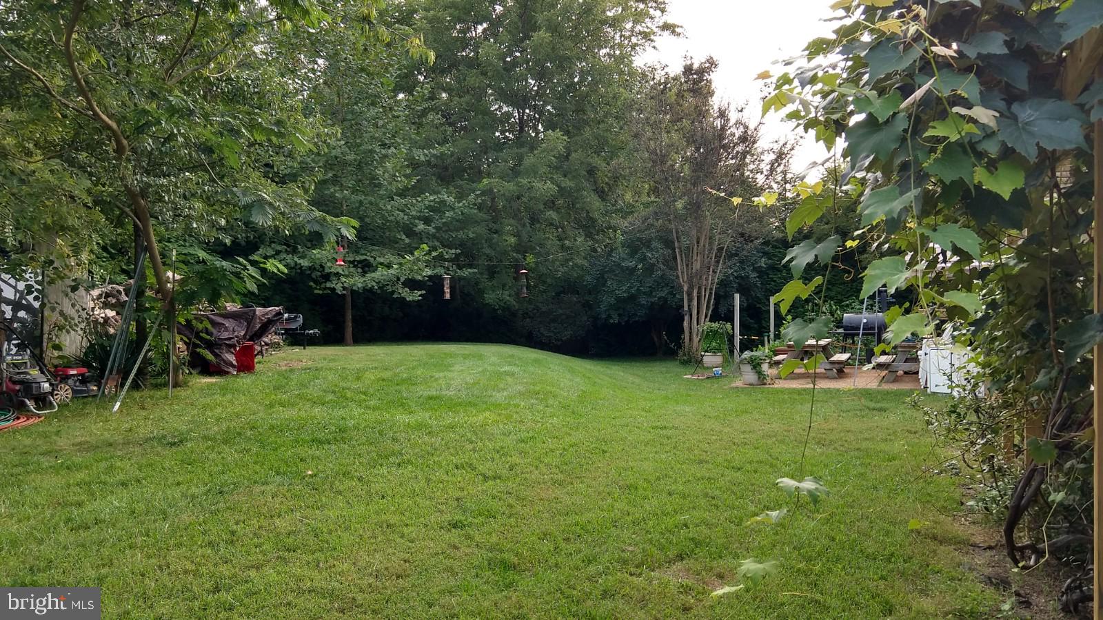 5582 Quiet Brook Road Fairfax, VA 22030 - Photo 9 of 31 West-facing view of backyard.