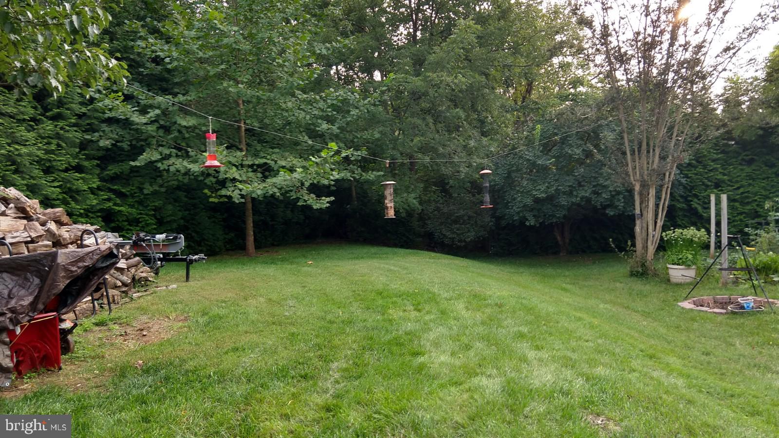 5582 Quiet Brook Road Fairfax, VA 22030 - Photo 10 of 31 Lots of backyard to BBQ and watch the wildlife.