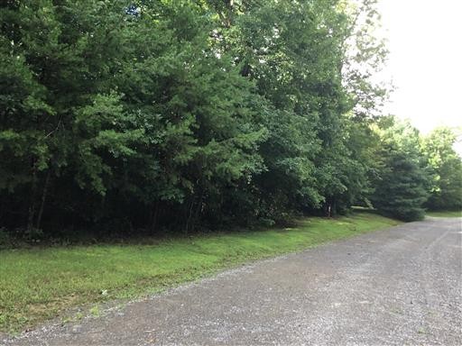 27 Holly Ridge Road Tracy City, TN 37387 - Photo 3 of 9 Gallery Image 3