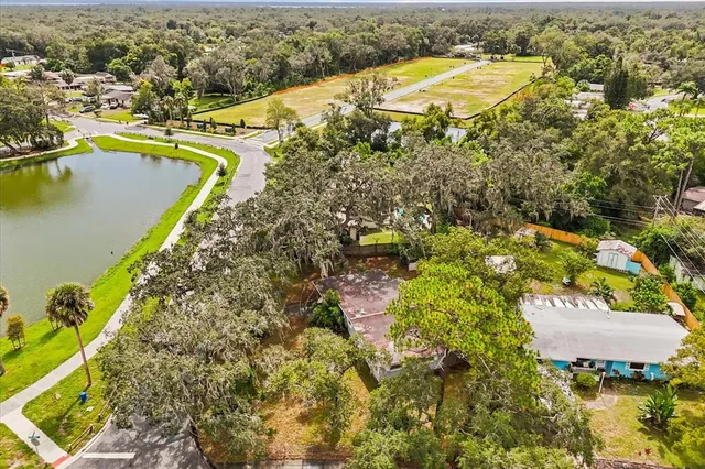 front view of a house with a tree