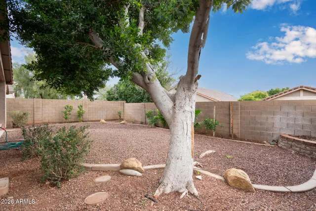a view of a backyard