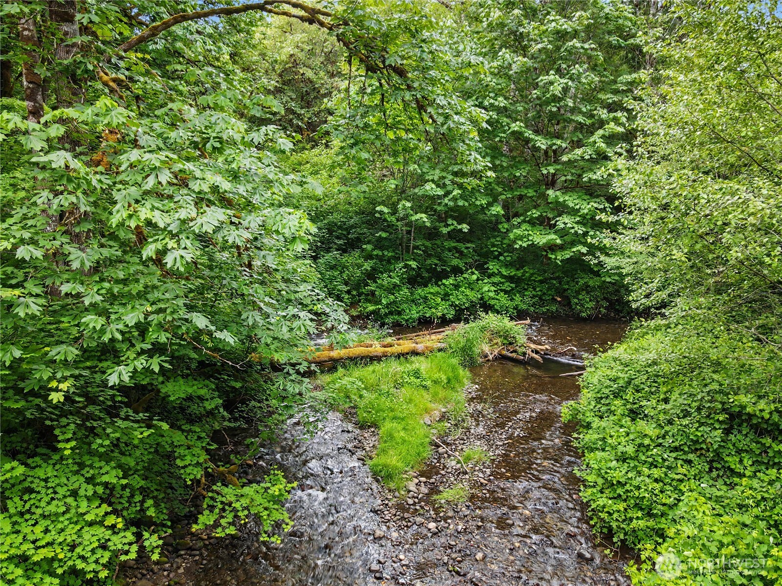 0 Wildwood Road Quilcene, WA 98376 - Photo 15 of 36