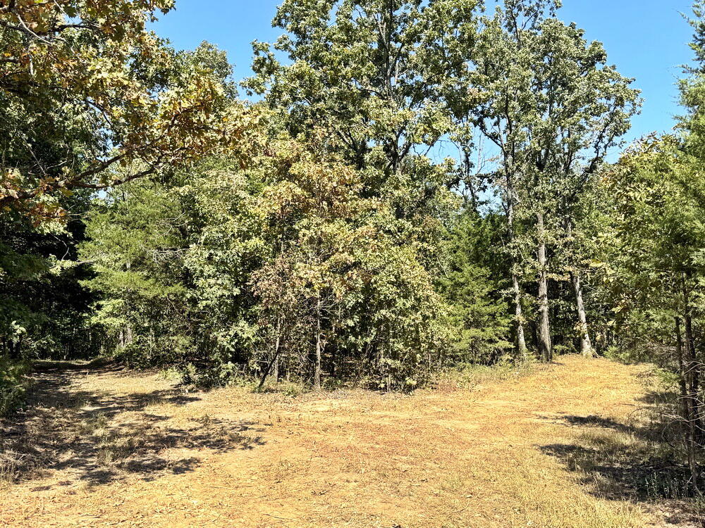 0 Southeast 500 Road Collins, MO 64738 - Photo 38 of 43 38