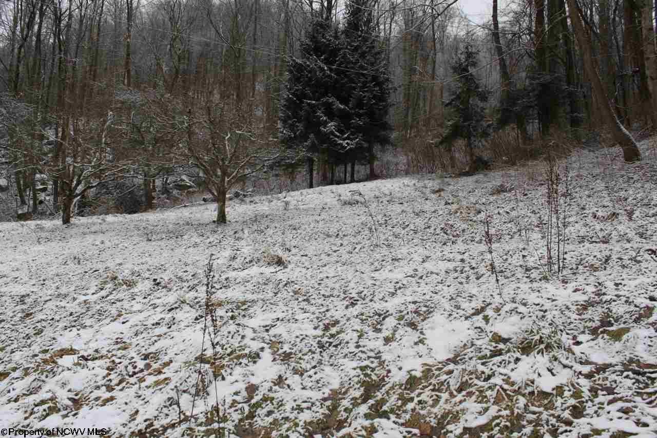 670 Webster Road Webster Springs, WV 26288 - Photo 18 of 18 Gallery Image 18