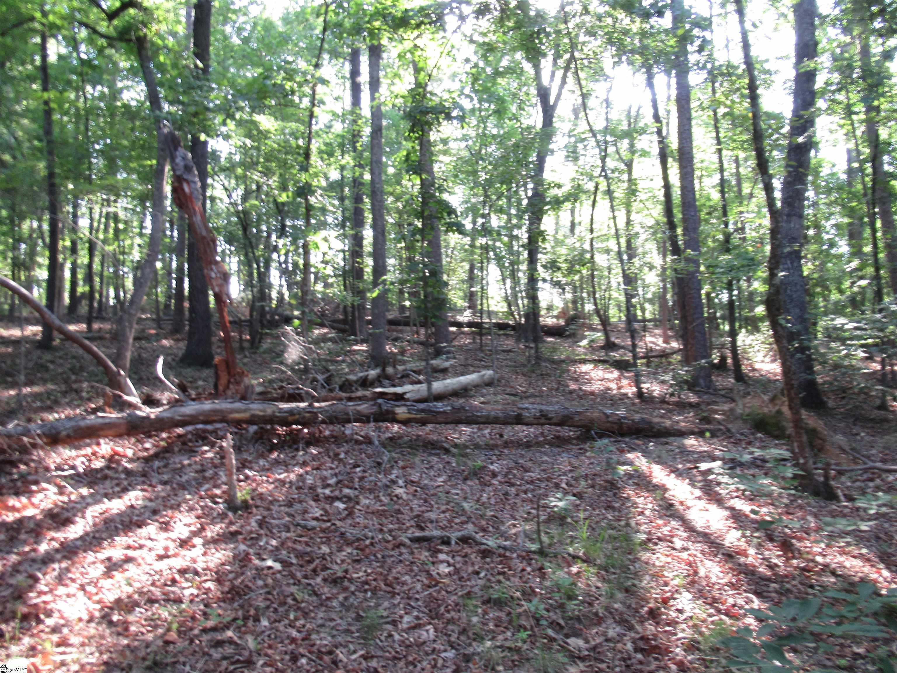 0 Murphy Road, Unit 3 2 ACRES S SIDE MURPHY RD Sunset, SC 29685 - Photo 2 of 20