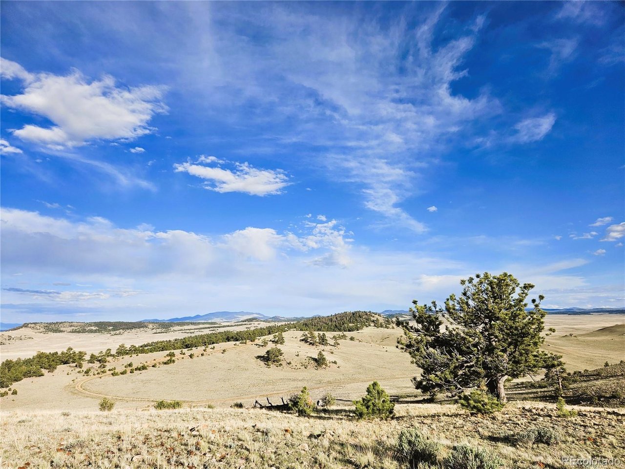 24142 Antero Road Hartsel, CO 80449 - Photo 2 of 48