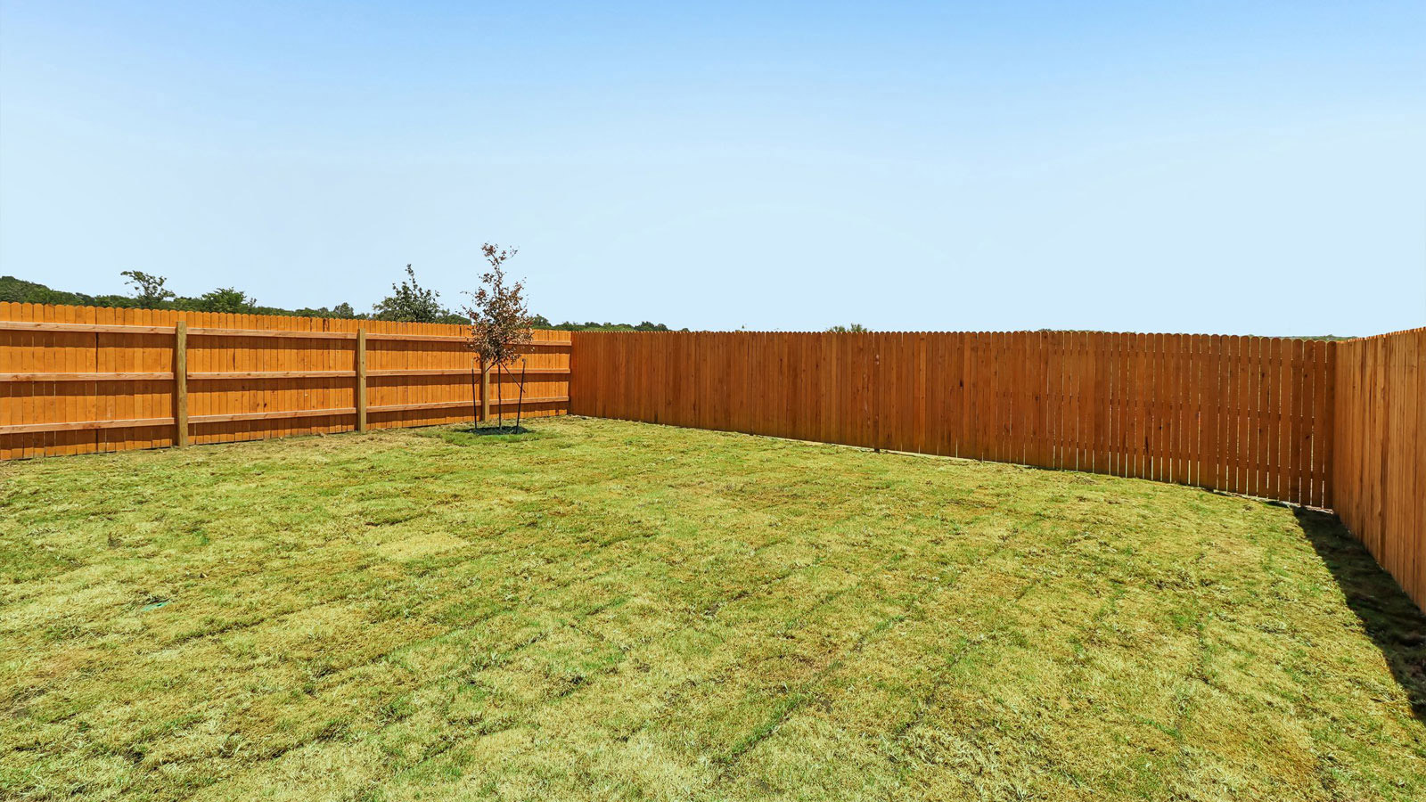 267 Mountain Pea Road Kyle, TX 78640 - Photo 34 of 35