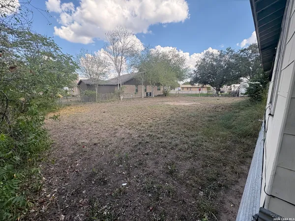 a view of a yard with plants and large trees