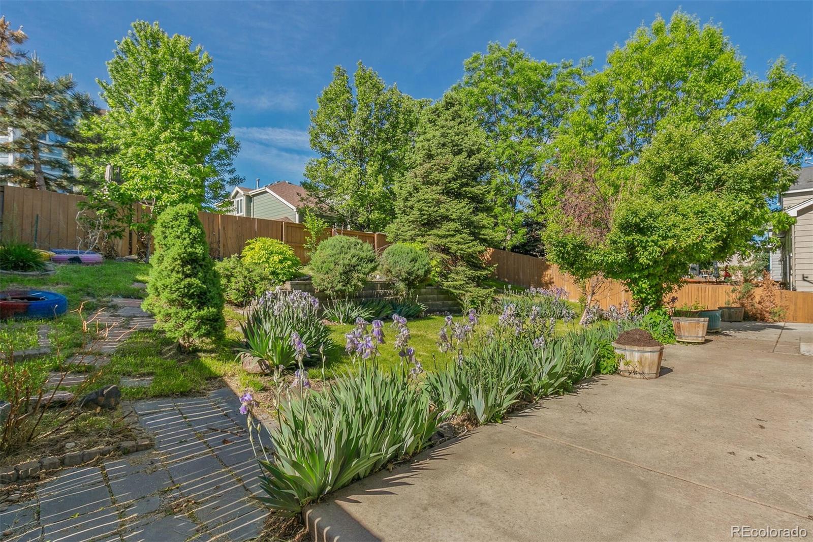 9527 South Hackberry Street Highlands Ranch, CO 80129 - Photo 33 of 35