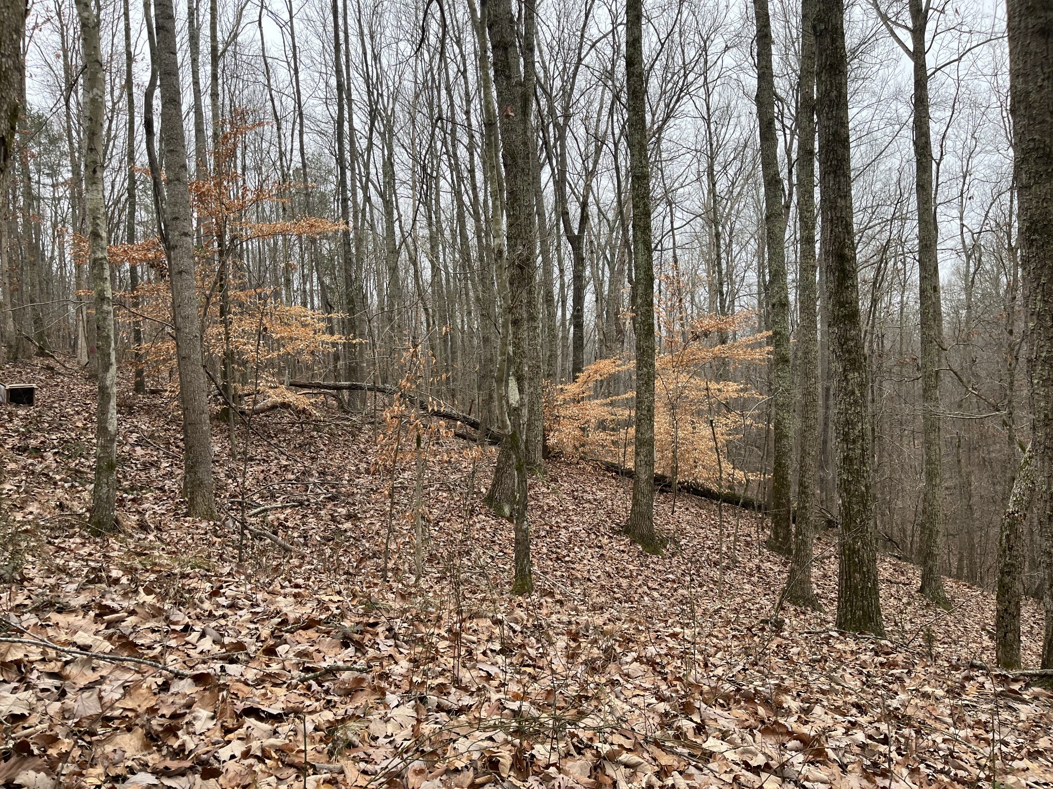 908 Walker Road Hampshire, TN 38461 - Photo 13 of 23 a bathroom with a shower