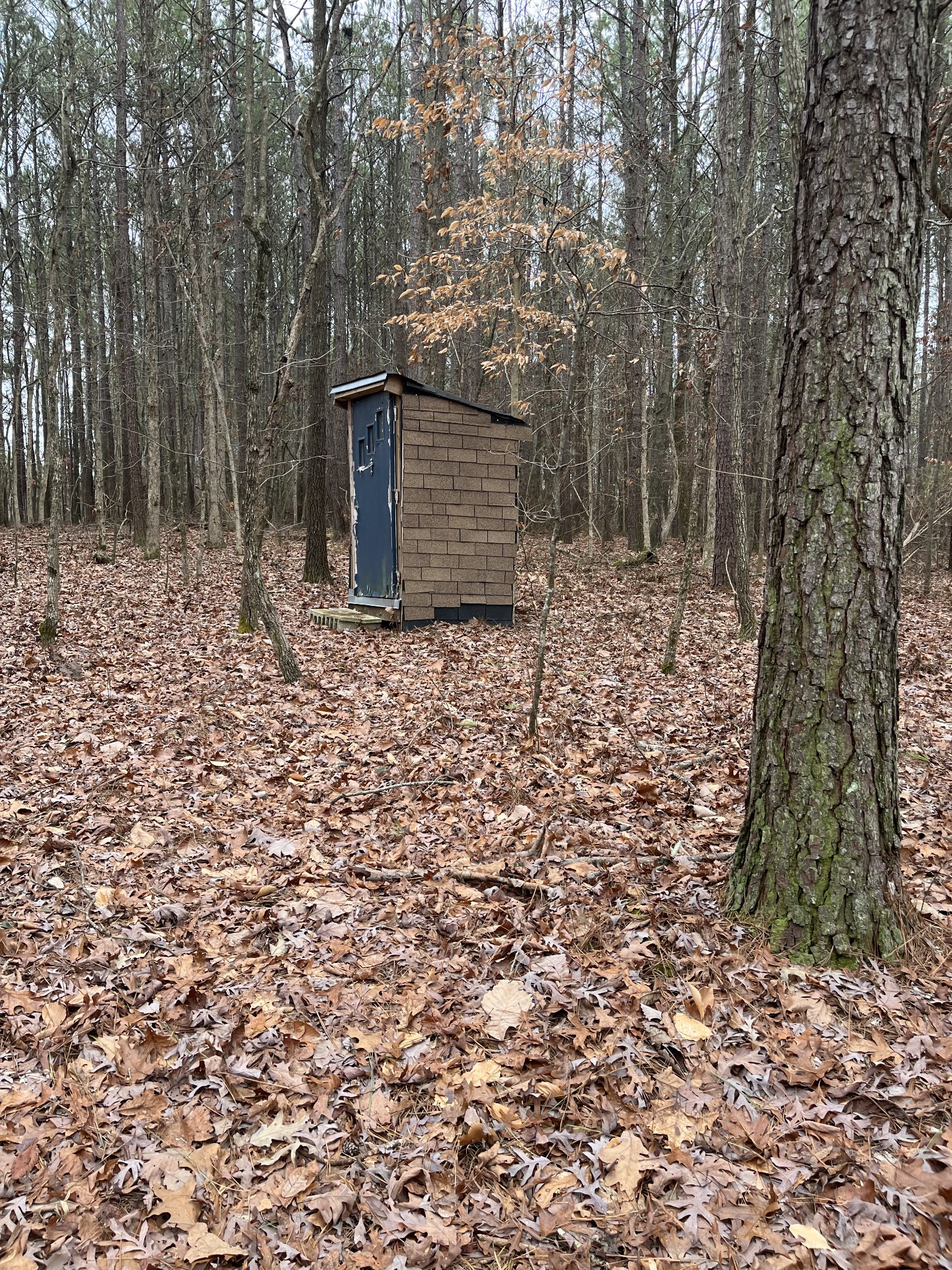 908 Walker Road Hampshire, TN 38461 - Photo 19 of 23 a backyard of a house with lots of green space