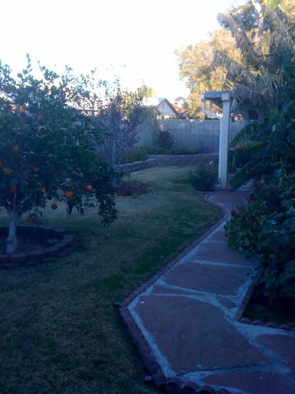 8402 West Osborn Road Phoenix, AZ 85037 - Photo 7 of 9 backyard