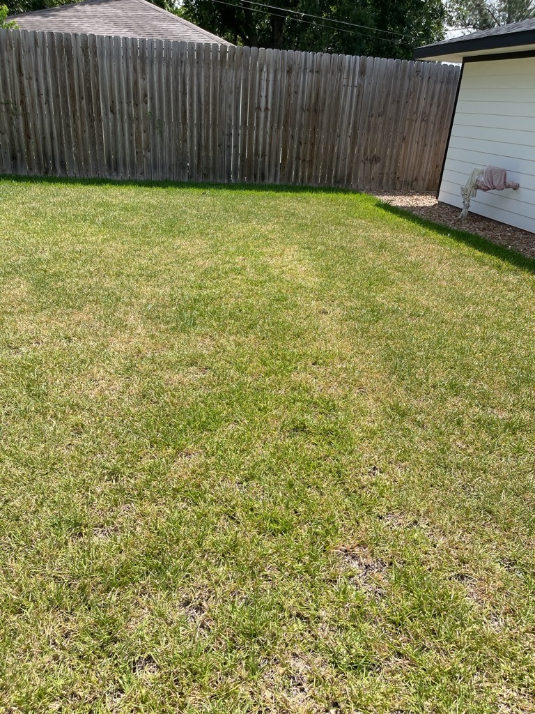 7317 Briefway Street, Unit B Houston, TX 77087 - Photo 11 of 13 a view of a backyard