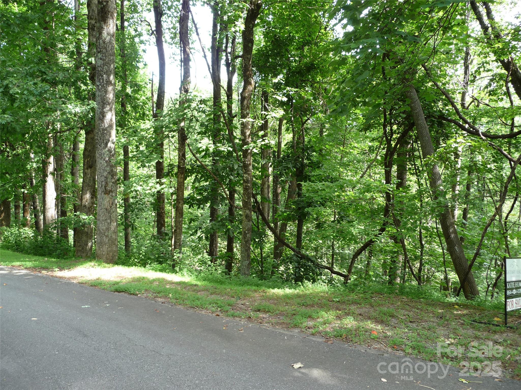 Lot 12 Sunset Ridge Drive, Unit LOT 12 Columbus, NC 28722 - Photo 4 of 10 a backyard of a house with lots of green space