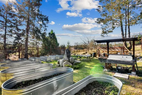 a view of a yard with plants