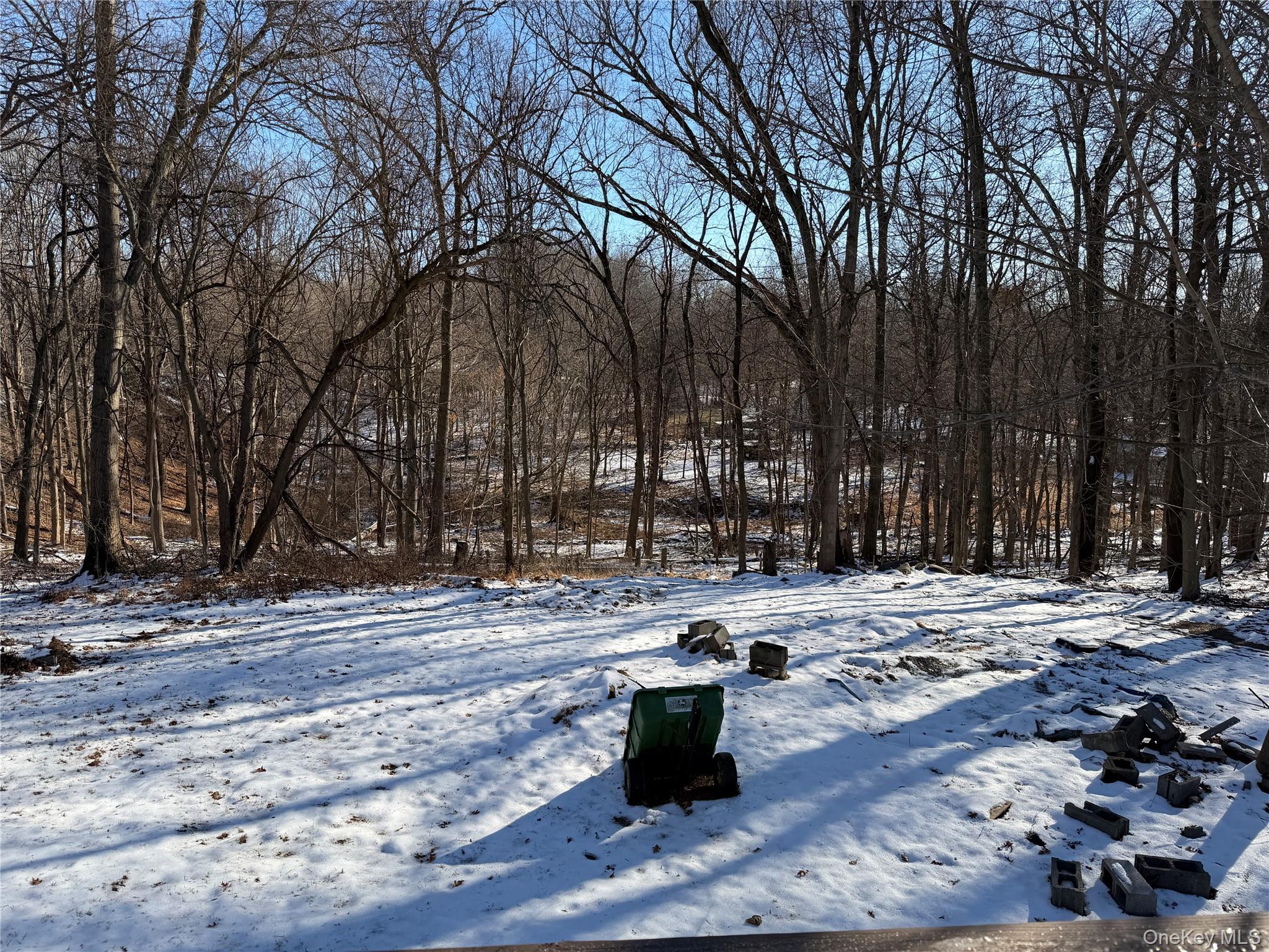 302 Lake Road New Windsor, NY 12553 - Photo 20 of 24 a view of a yard with trees in the background