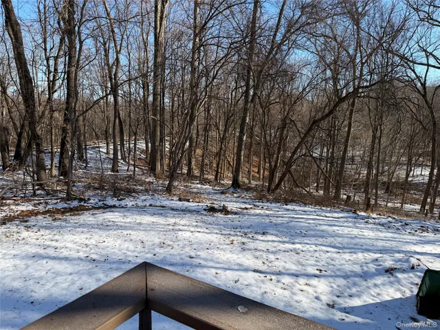 a view of a yard with a bench
