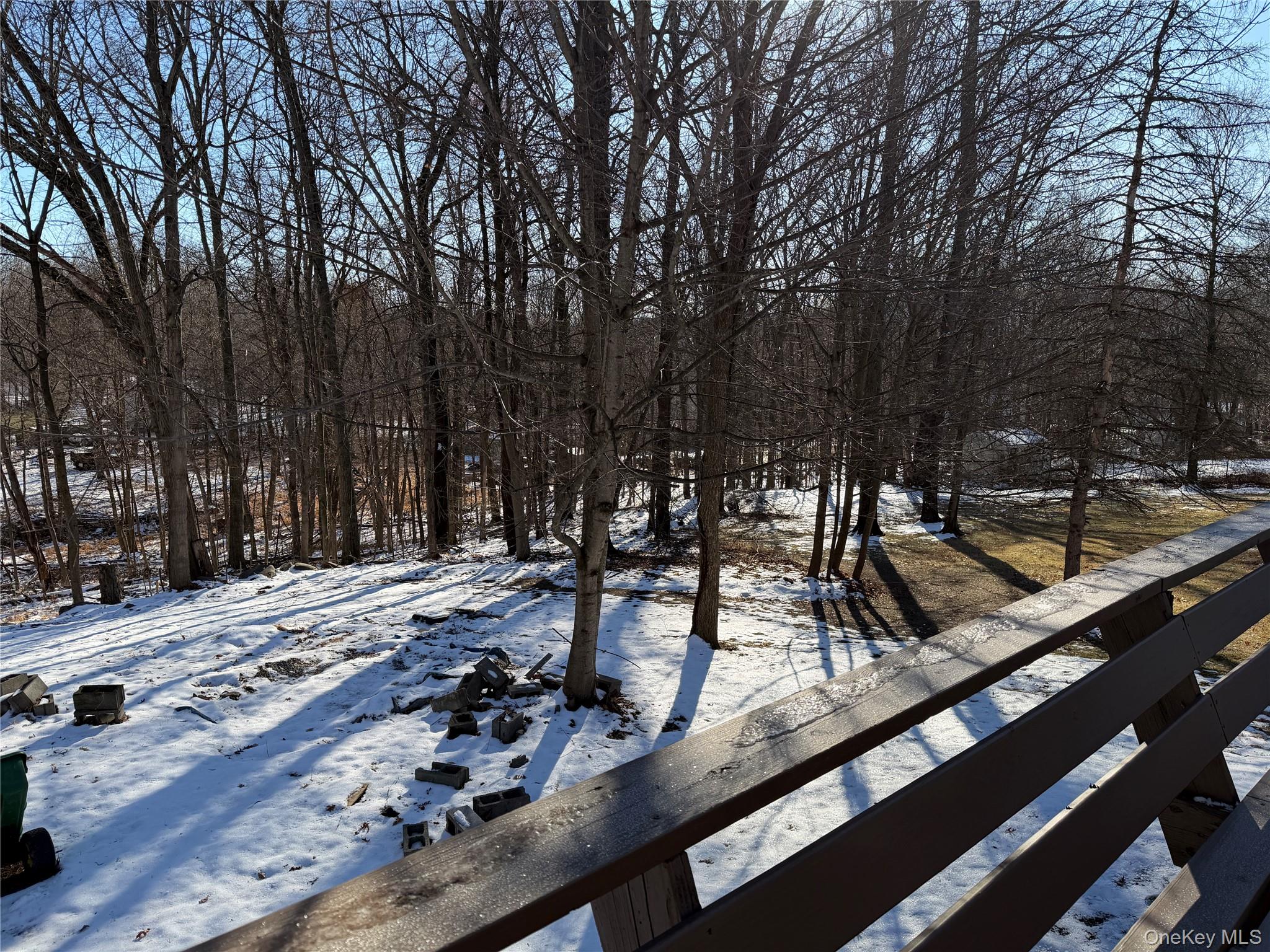 302 Lake Road New Windsor, NY 12553 - Photo 22 of 24 a view of a park with large trees