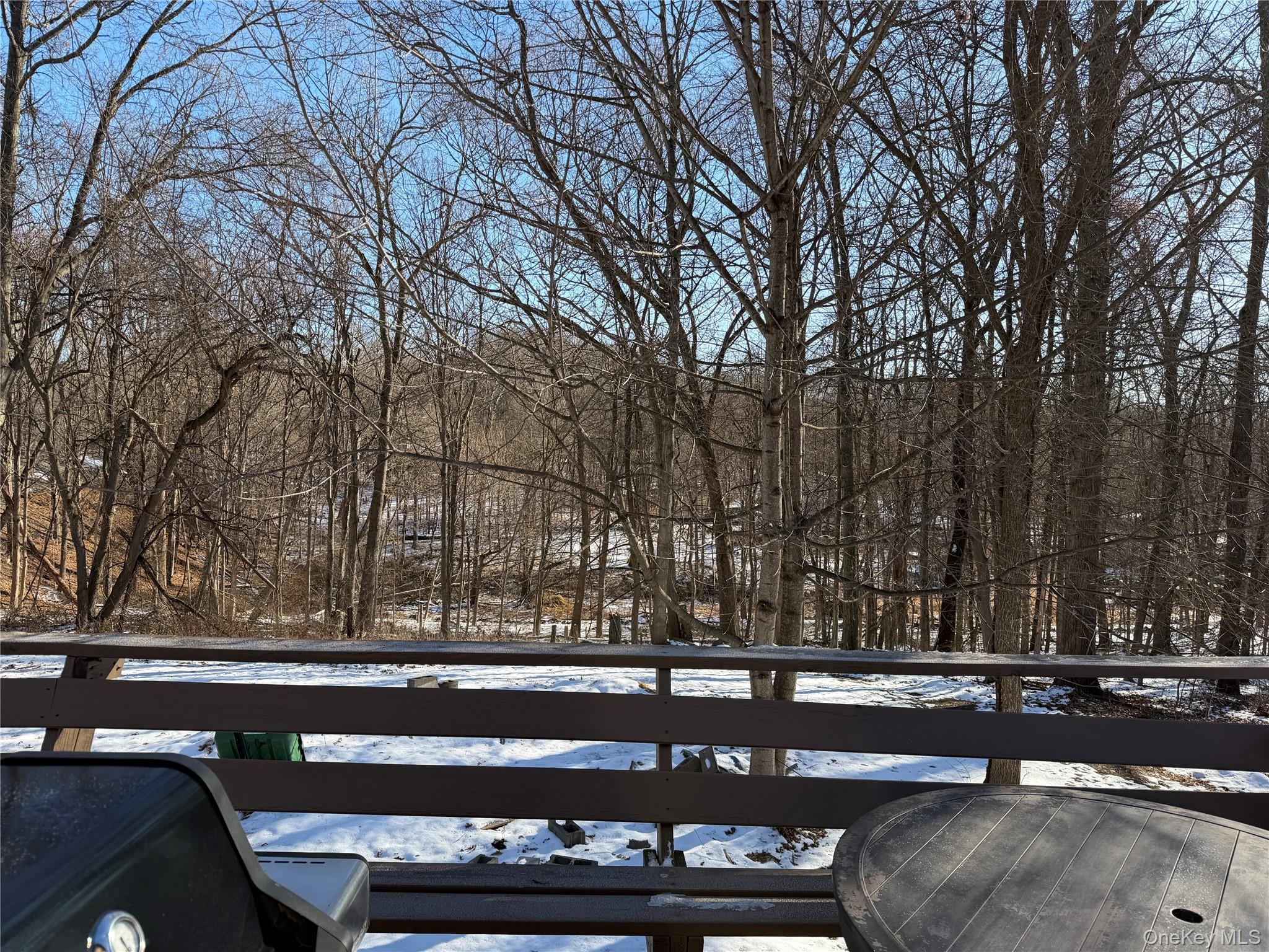 302 Lake Road New Windsor, NY 12553 - Photo 23 of 24 a view of a yard with a bench