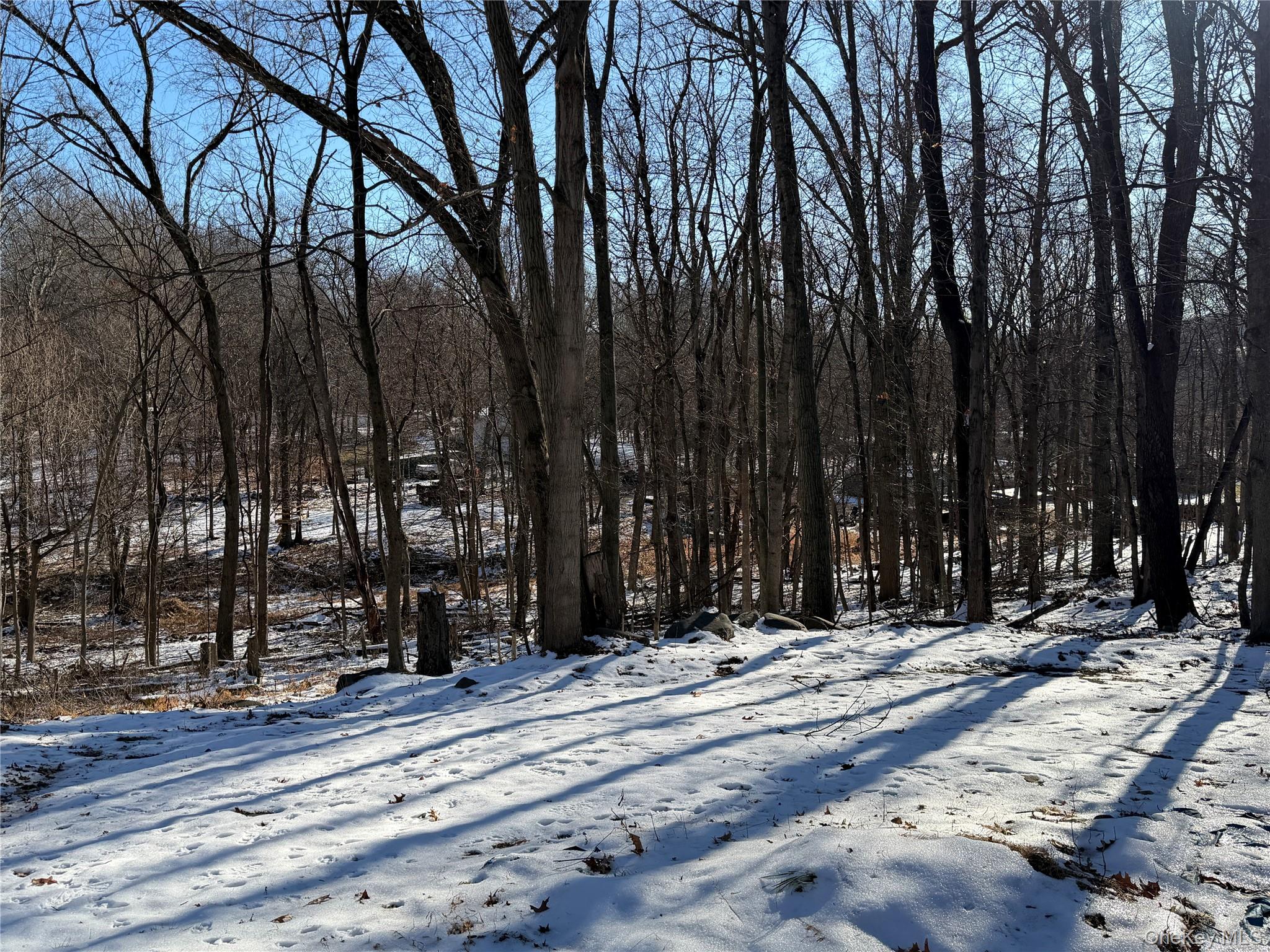 302 Lake Road New Windsor, NY 12553 - Photo 24 of 24 a view of a building with trees on a road