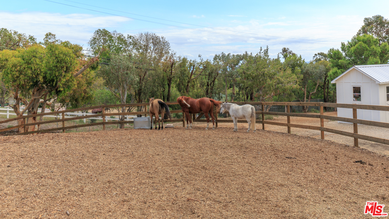 27357 Pacific Coast Highway Malibu, CA 90265 - Photo 4 of 7