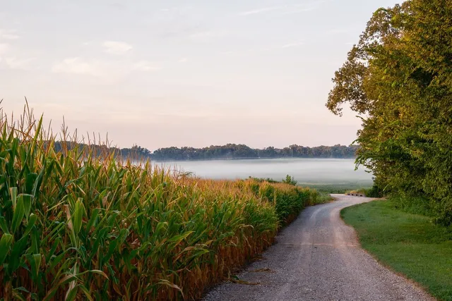 $35,000,000 | 1771 Dancyville Eurekaton Road, Stanton, TN 38069