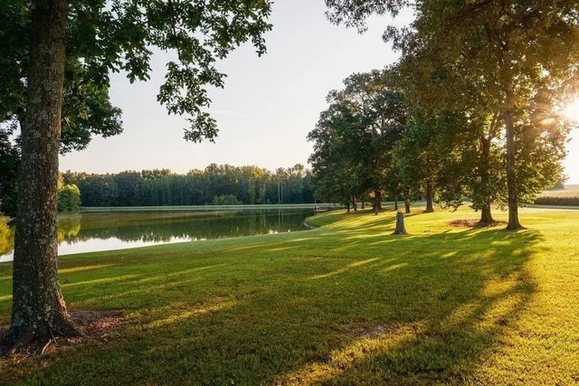 $35,000,000 | 1771 Dancyville Eurekaton Road, Stanton, TN 38069