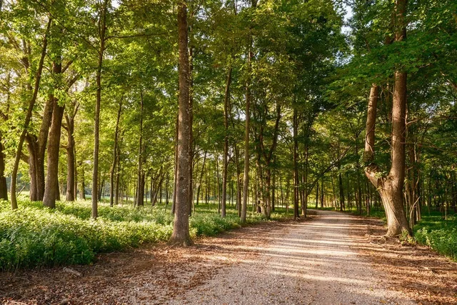 $35,000,000 | 1771 Dancyville Eurekaton Road, Stanton, TN 38069