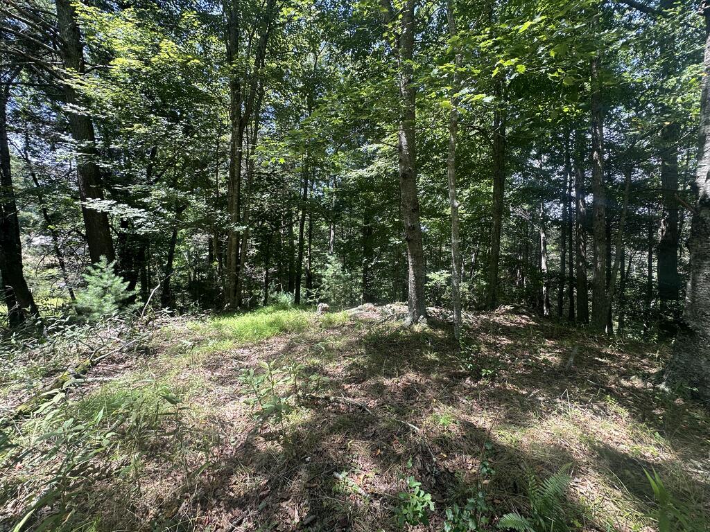 1299 Vista Road Independence, VA 24348 - Photo 9 of 23 Gallery Image 9
