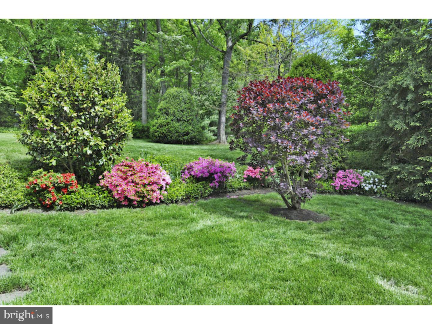 1218 Cox Road Rydal, PA 19046 - Photo 5 of 22