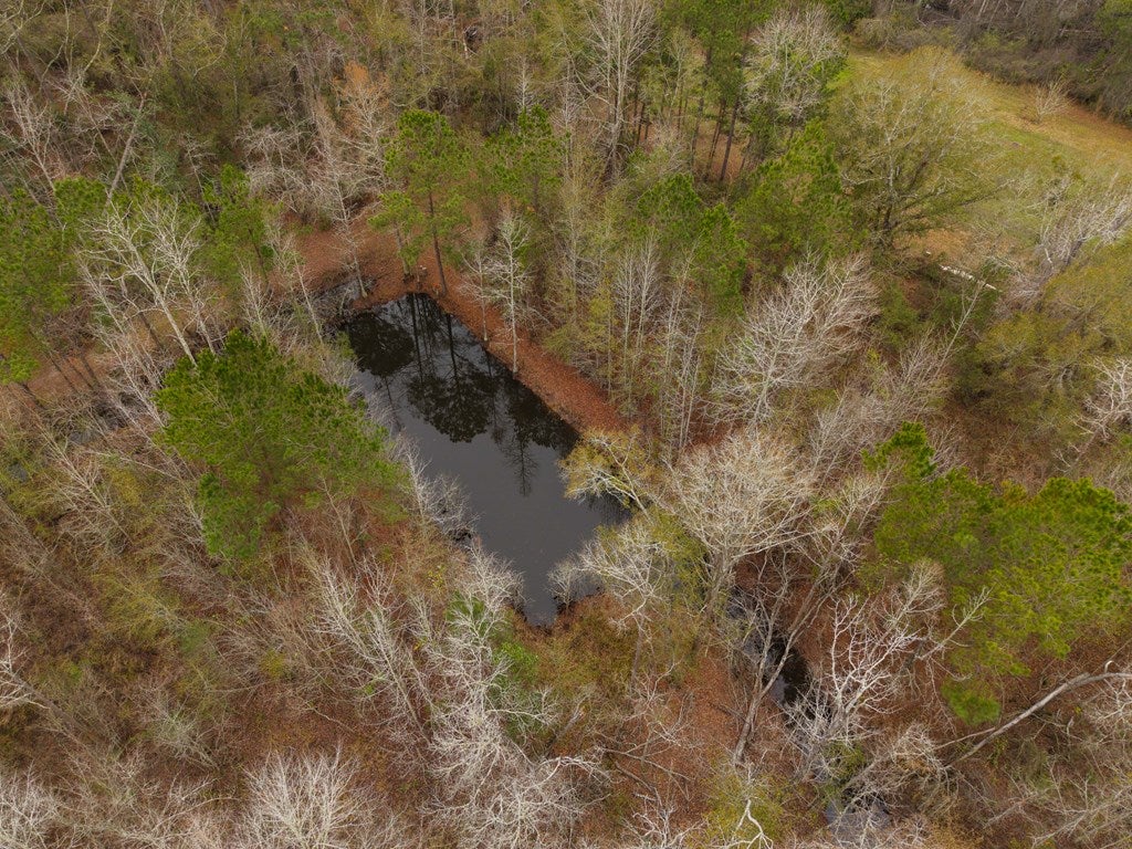 998 Fellowship Road Hahira, GA 31632 - Photo 65 of 79 Gallery Image 65