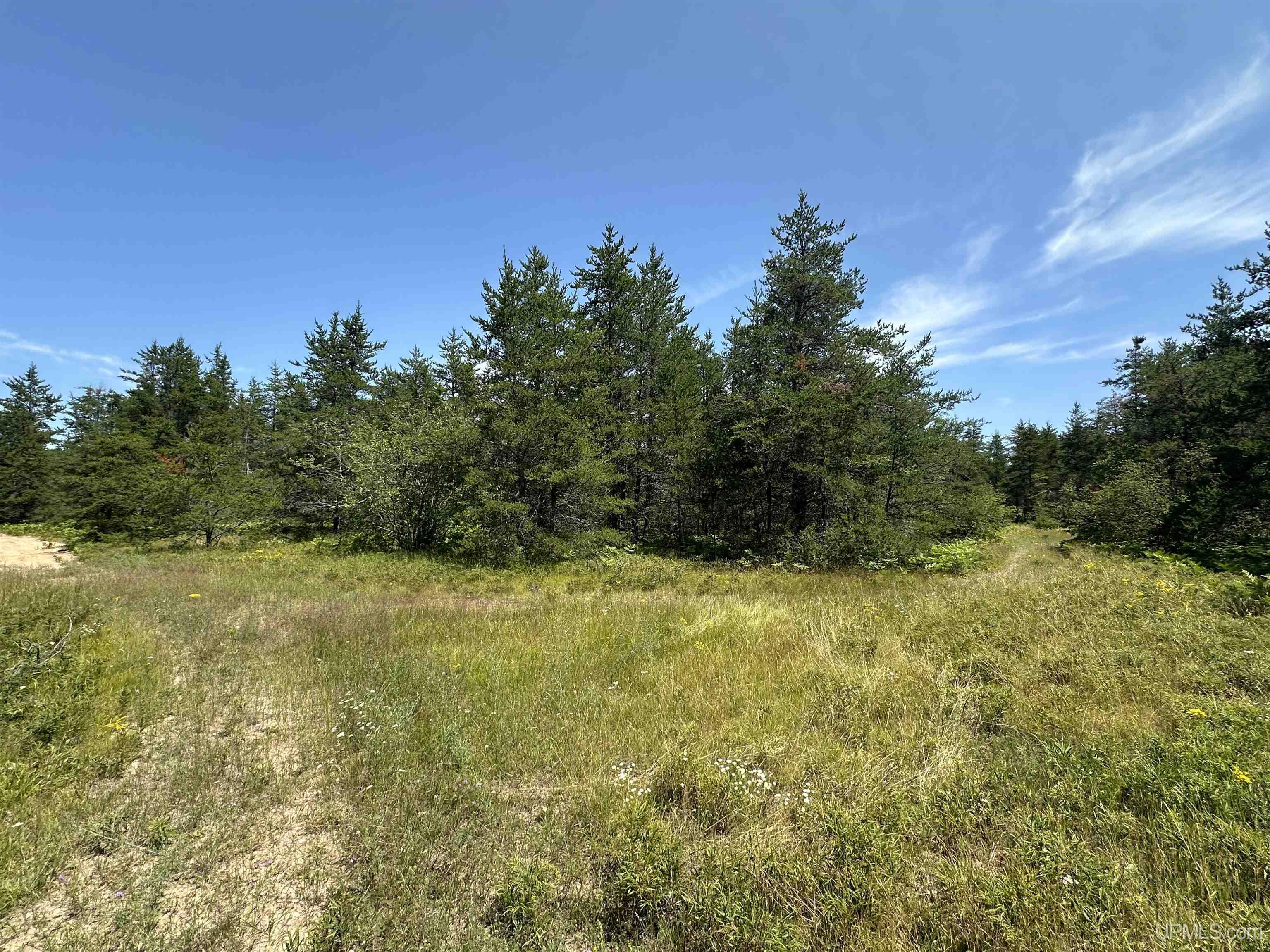 2020-2050 Co Road Little Lake, MI 49833 - Photo 18 of 39