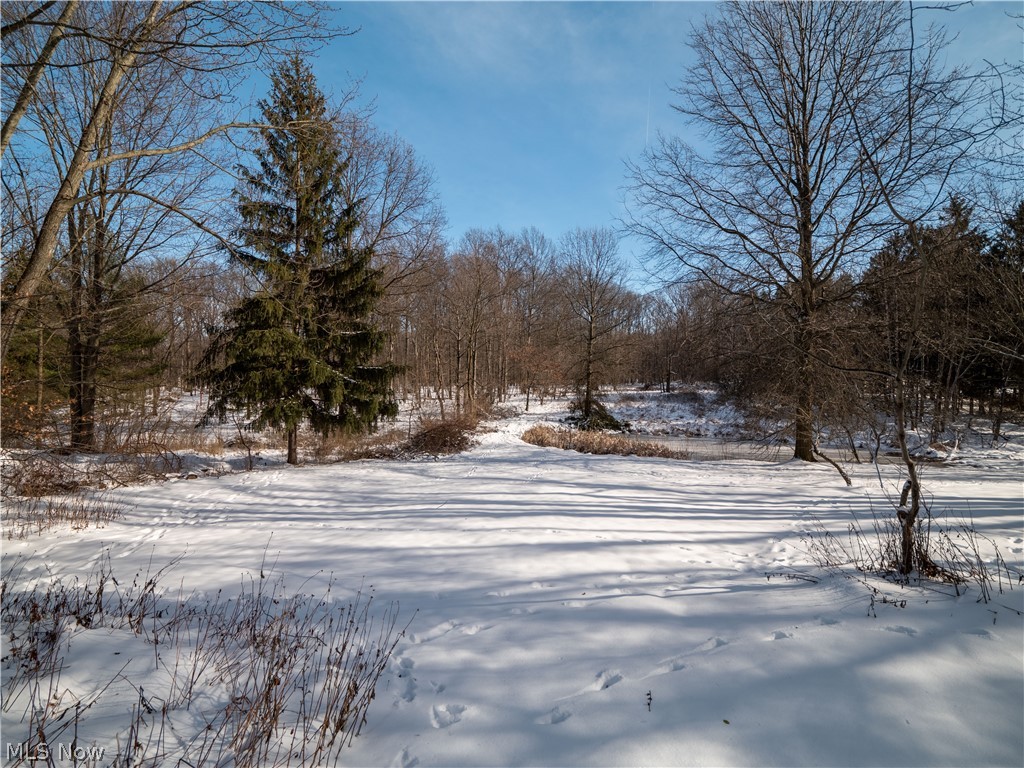 9703 Ridge Road North Royalton, OH 44133 - Photo 8 of 35
