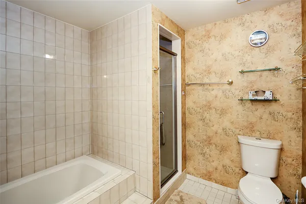 a bathroom with a shower and a toilet