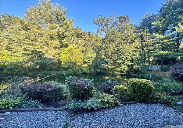 a view of a garden with plants and large trees