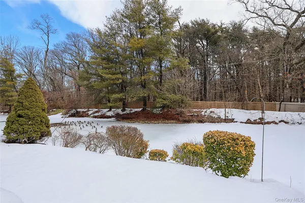 a view of a swimming pool with a yard