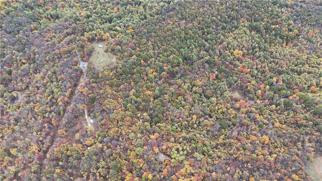 76-acres Along Braughler Road Rochester Mills, PA 15759 - Photo 13 of 26 a close up of a plant