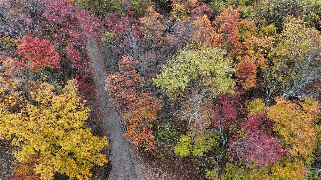 76-acres Along Braughler Road Rochester Mills, PA 15759 - Photo 15 of 26