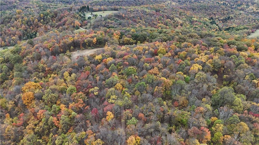 76-acres Along Braughler Road Rochester Mills, PA 15759 - Photo 16 of 26 a view of a forest
