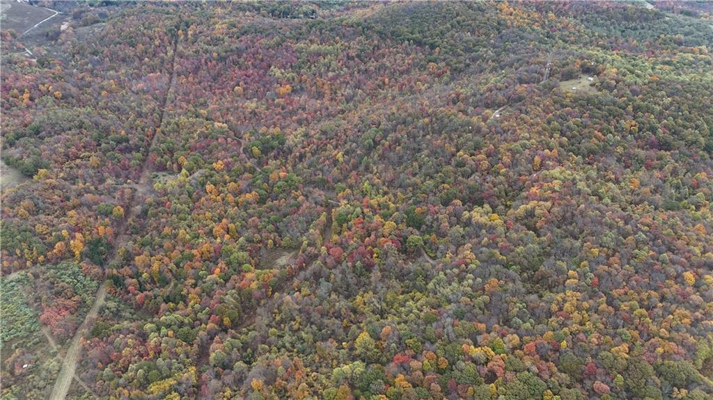 76-acres Along Braughler Road Rochester Mills, PA 15759 - Photo 19 of 26 a view of a yard