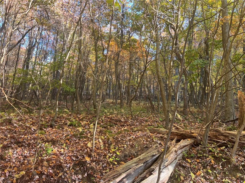 76-acres Along Braughler Road Rochester Mills, PA 15759 - Photo 22 of 26