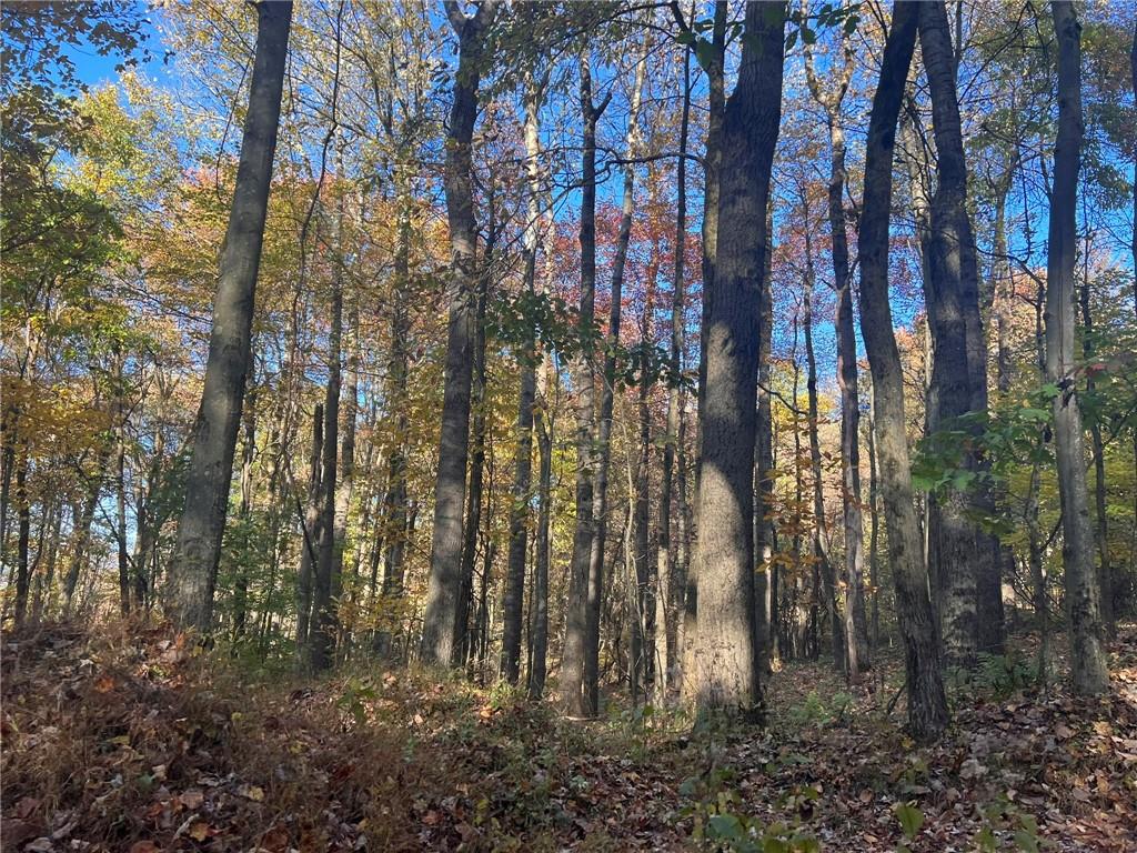 76-acres Along Braughler Road Rochester Mills, PA 15759 - Photo 23 of 26 a view of forest
