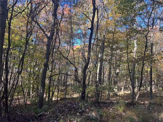 $325,000 | 76-acres Along Braughler Road, Rochester Mills, PA 15759