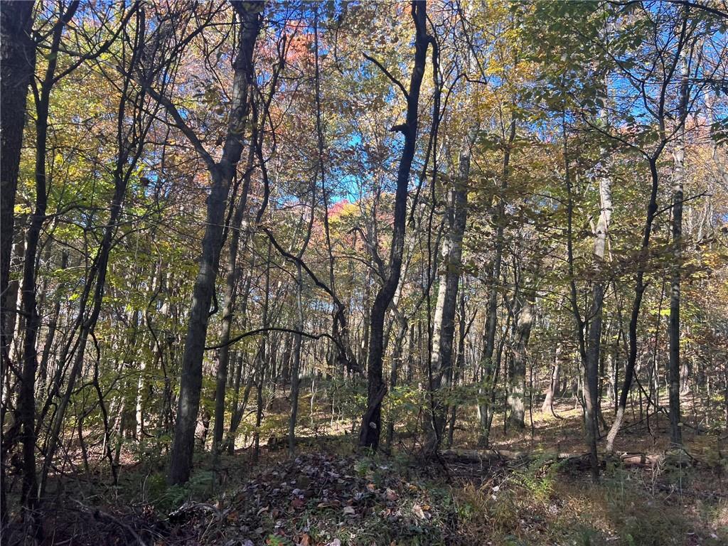 76-acres Along Braughler Road Rochester Mills, PA 15759 - Photo 24 of 26