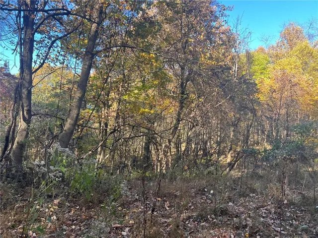 $325,000 | 76-acres Along Braughler Road, Rochester Mills, PA 15759