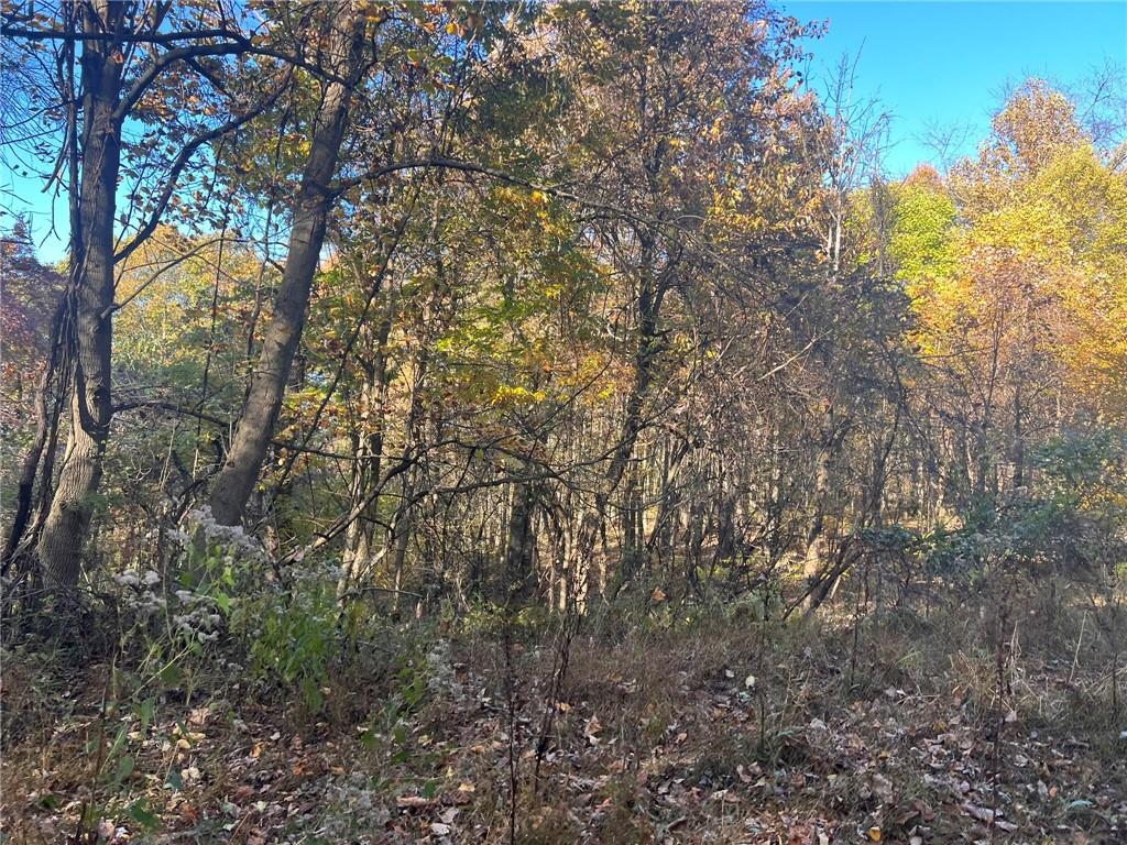 76-acres Along Braughler Road Rochester Mills, PA 15759 - Photo 25 of 26 a view of forest