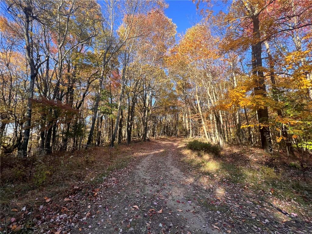 76-acres Along Braughler Road Rochester Mills, PA 15759 - Photo 26 of 26 a view of dirt yard with a large tree